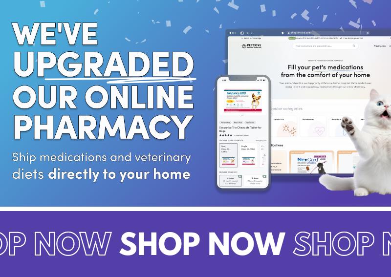 Carousel Slide 1: Check out our new and improved online pet pharmacy and store!